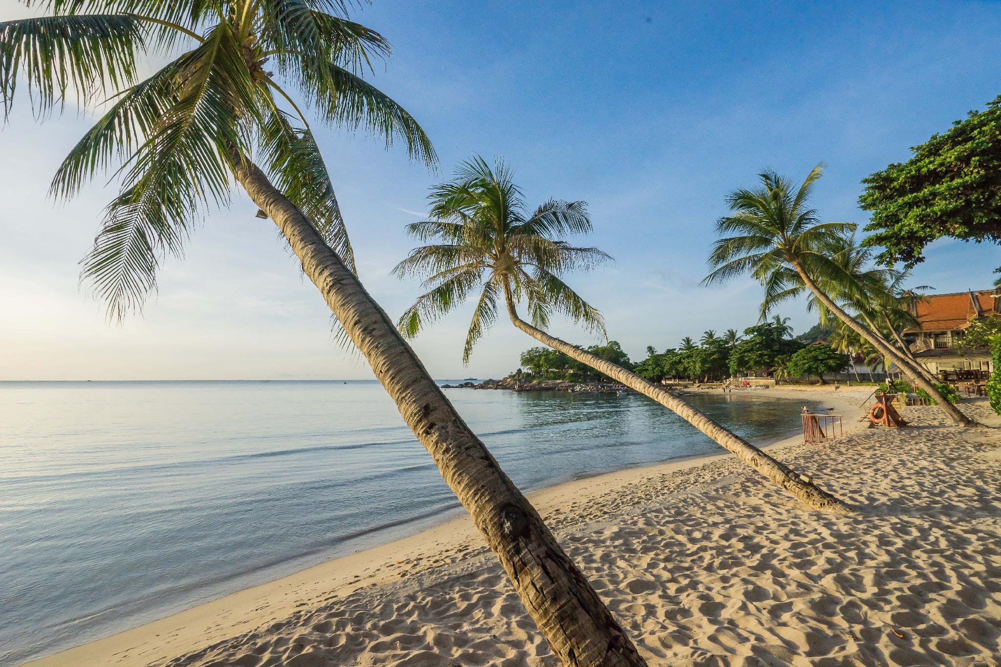 Samui Paradise Chaweng Beach Resort Ngoại thất bức ảnh