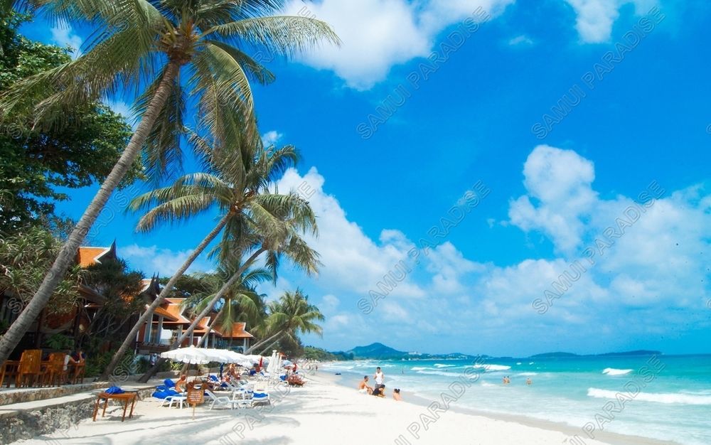 Samui Paradise Chaweng Beach Resort Ngoại thất bức ảnh