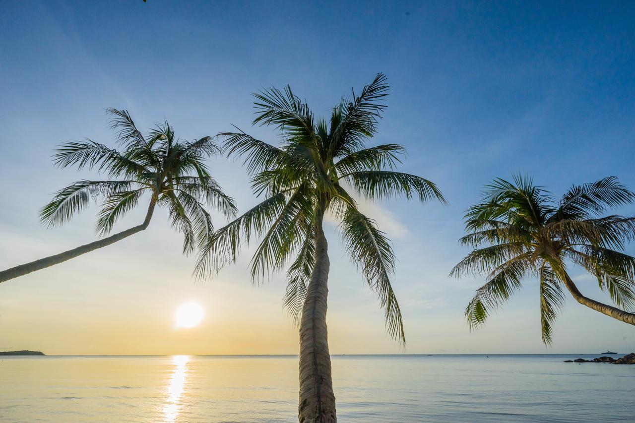 Samui Paradise Chaweng Beach Resort Ngoại thất bức ảnh